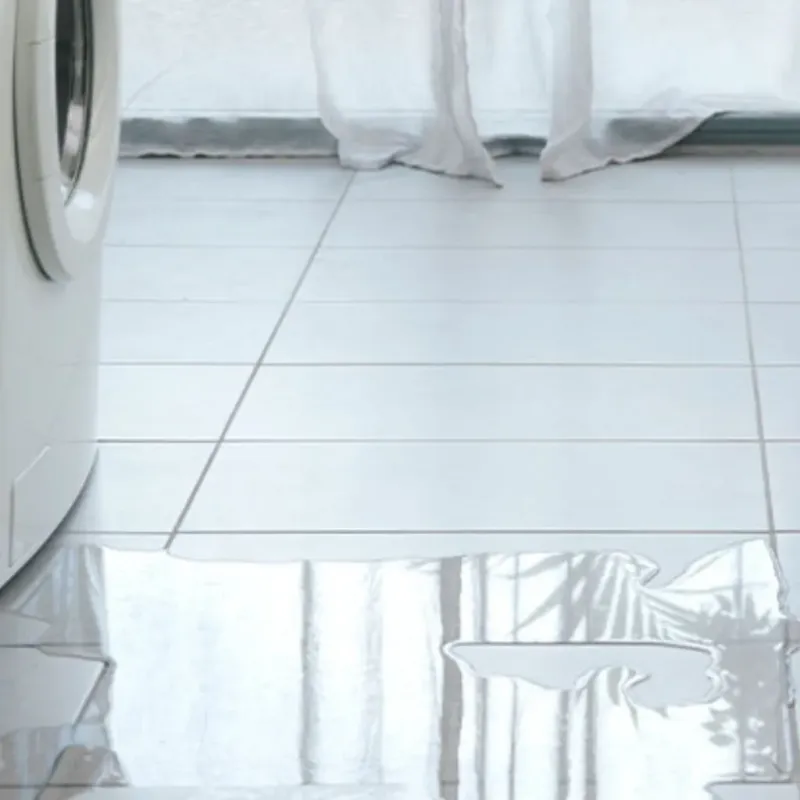 Appliance Leak Cleanup in Baker County, GA